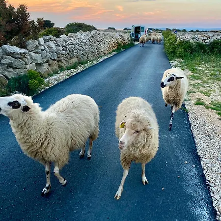 Tatil Evi Infinity Mandre