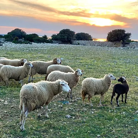 Infinity Casa vacanze