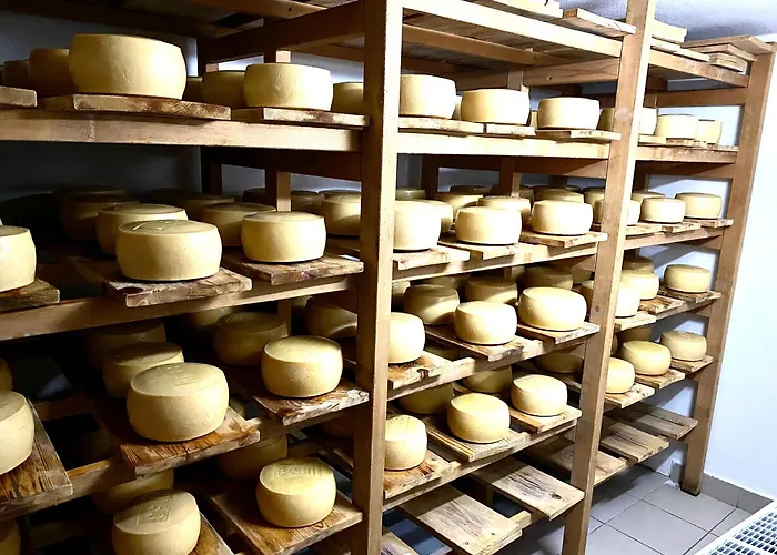 Infinity Prázdninový dům