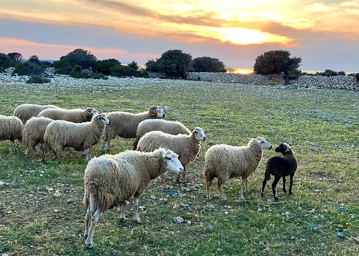 Infinity Prázdninový dům