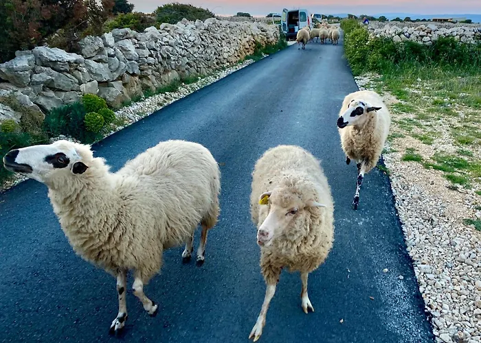 Prázdninový dům Infinity Mandre